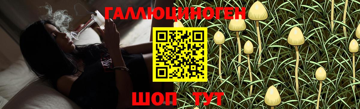 дарнет шоп  Галлюциногенные грибы Psilocybine cubensis  Вход с VPN  Избербаш 